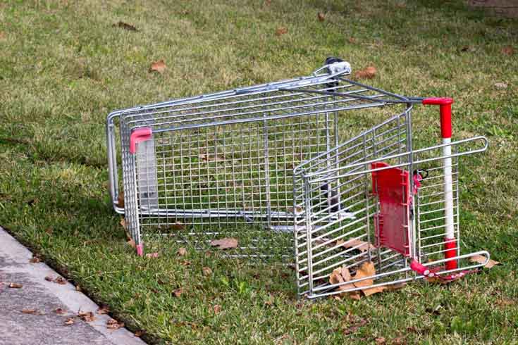 Reporting abandoned shopping trolleys